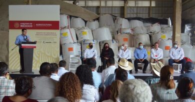 Arriban primeros embarques de sulfato de amonio; impactan a la baja en 30% precio del fertilizante Arriban primeros embarques de sulfato de amonio; impactan a la baja en 30% precio del fertilizante