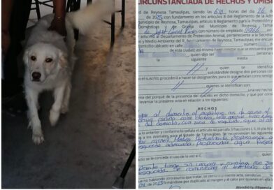 Exhorta Alcalde de Reynosa a dueños cuidar de sus mascotas