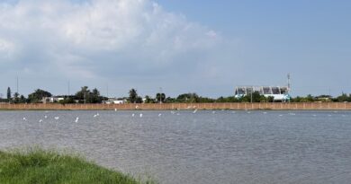 Pemex comprometido con el uso eficiente y responsable del agua en sus actividades Pemex comprometido con el uso eficiente y responsable del agua en sus actividades