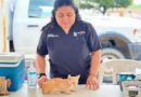 Mejoran vida de gatitos y perritos en Reynosa con 16 adopciones