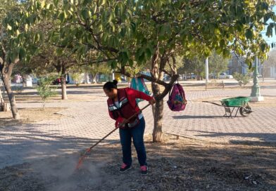 Efectúa Gobierno de Carlos Peña Ortiz actividades de limpieza y mantenimiento de Reynosa