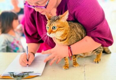 Promueve Gobierno de Reynosa salud animal en coordinación con Asociación Civil