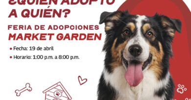Feria de Adopciones brinda segunda oportunidad a mascotas que buscan hogar Feria de Adopciones brinda segunda oportunidad a mascotas que buscan hogar
