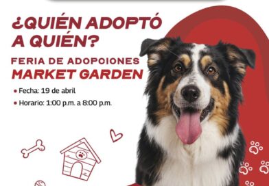 Feria de Adopciones brinda segunda oportunidad a mascotas que buscan hogar Feria de Adopciones brinda segunda oportunidad a mascotas que buscan hogar