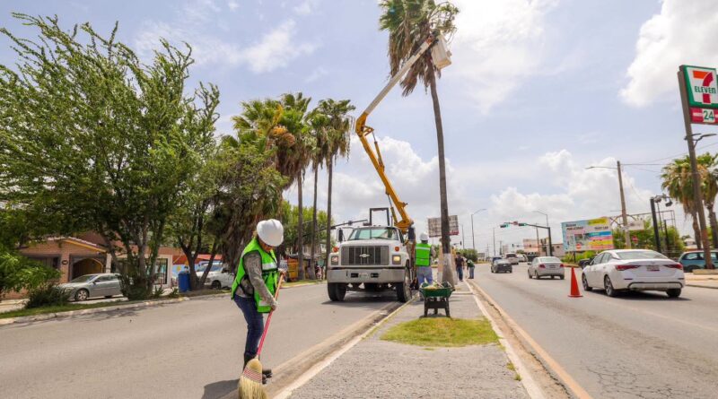 Constató Alcalde Carlos Peña Ortiz limpieza y poda en bulevar del Maestro