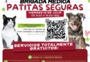 Llevará Gobierno de Carlos Peña Ortiz servicios veterinarios gratuitos a Las Delicias Llevará Gobierno de Carlos Peña Ortiz servicios veterinarios gratuitos a Las Delicias