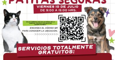 Llevará Gobierno de Carlos Peña Ortiz servicios veterinarios gratuitos a Las Delicias Llevará Gobierno de Carlos Peña Ortiz servicios veterinarios gratuitos a Las Delicias