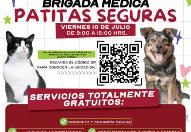 Llevará Gobierno de Carlos Peña Ortiz servicios veterinarios gratuitos a Las Delicias Llevará Gobierno de Carlos Peña Ortiz servicios veterinarios gratuitos a Las Delicias
