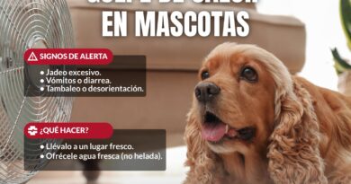Recomienda Gobierno de Reynosa mayor cuidado de mascotas ante altas temperaturas