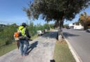 Realizó Municipio limpieza de vialidades en distintos sectores de la ciudad Realizó Municipio limpieza de vialidades en distintos sectores de la ciudad
