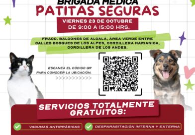 Realiza Gobierno de Carlos Peña Ortiz Brigada Médica Patitas Seguras en Los Fresnos Realiza Gobierno de Carlos Peña Ortiz Brigada Médica Patitas Seguras en Los Fresnos