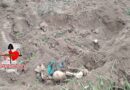 Se agudiza crisis; más de 14 mil desaparecidos en Tamaulipas Se agudiza crisis; más de 14 mil desaparecidos en Tamaulipas